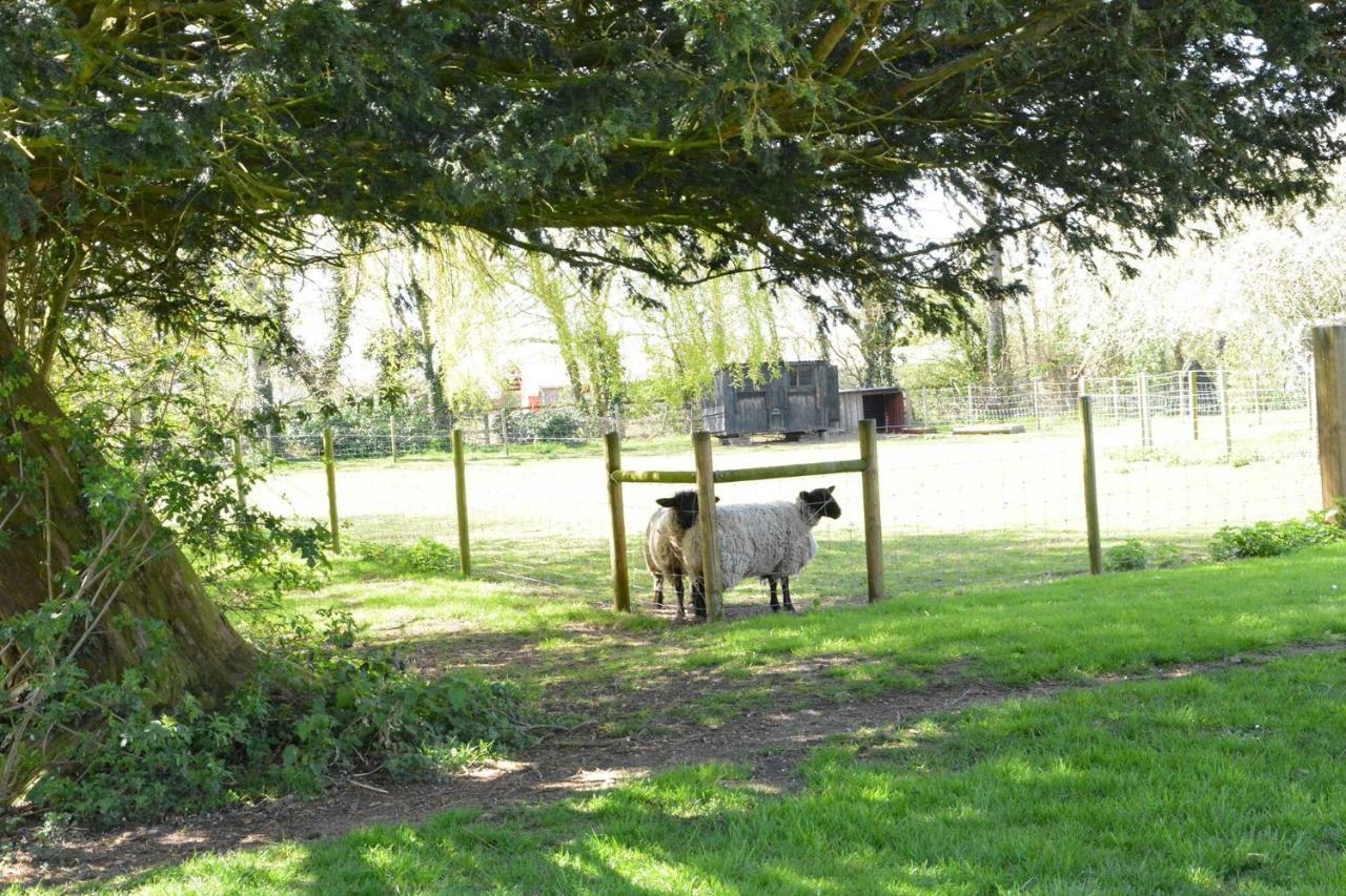 Yew Tree Farm Barn, Worlingworth Βίλα Εξωτερικό φωτογραφία